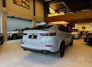 FIAT FASTBACK