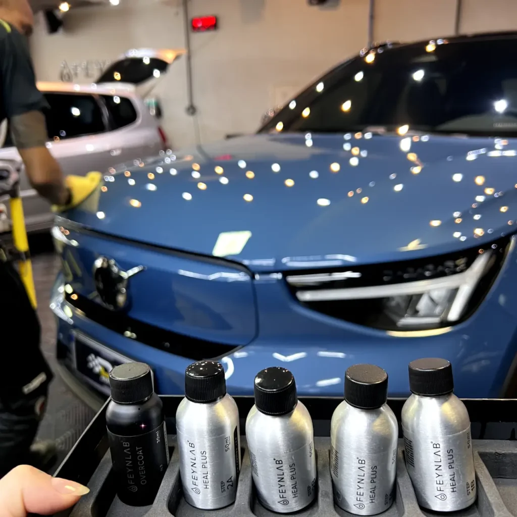 G Protecao de Pintura