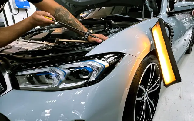 Martelinho-de-Ouro-1