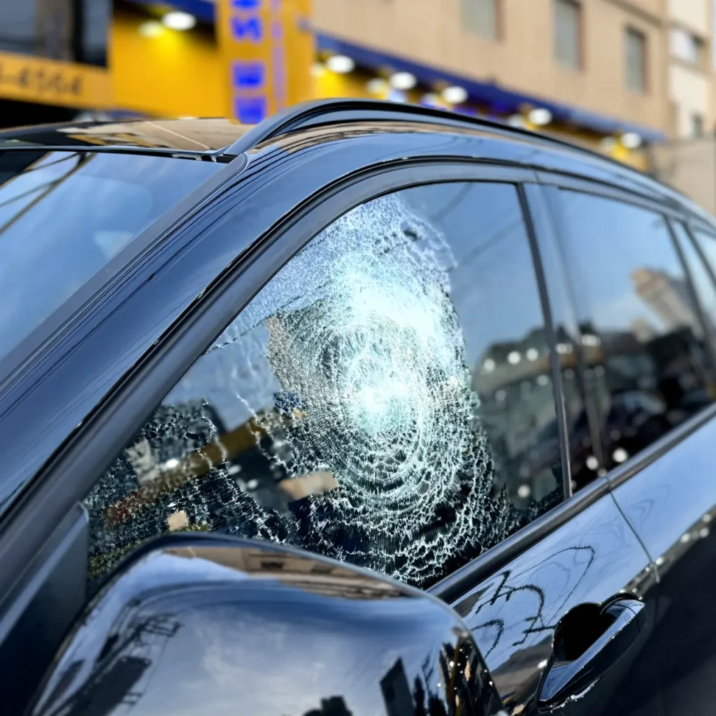 P Pelicula Antivandalismo