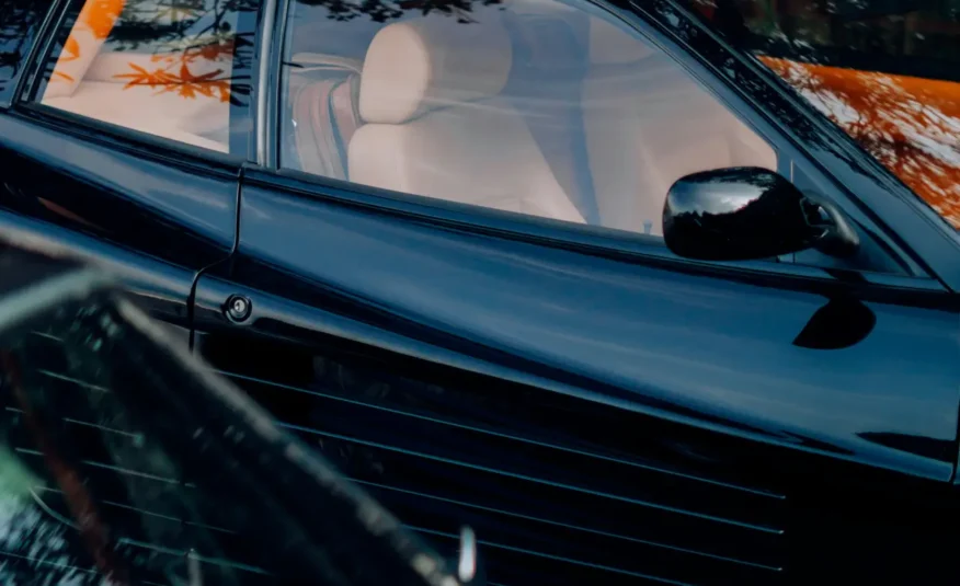 S-Protecao-Pintura-2