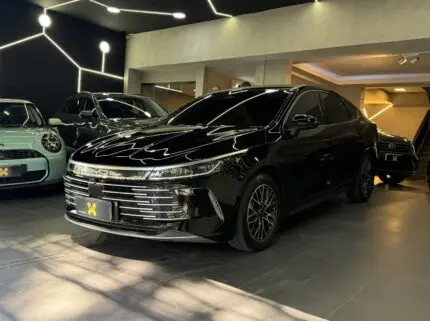 byd king 2026 04 16 12 21 59