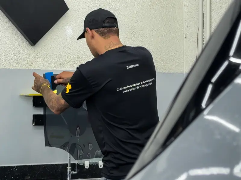 Tipos de películas automotivas quais são